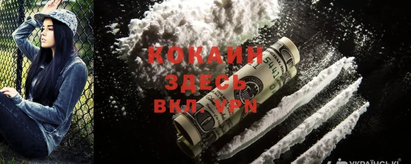 ГАЛЛЮЦИНОГЕННЫЕ ГРИБЫ Новодвинск