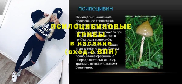 герыч Белая Холуница