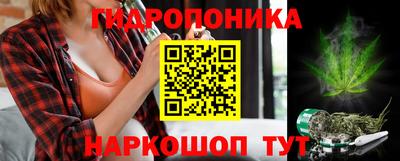 гашик Заводоуковск