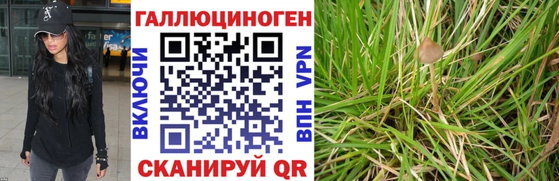 дарк нет формула kraken зеркало Лосино-Петровский Галлюциногенные грибы MAGIC MUSHROOMS