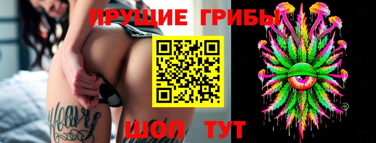 купить   Псилоцибиновые грибы Cubensis  Вход с VPN  Псилоцибиновые грибы ЛСД  Лосино-Петровский 